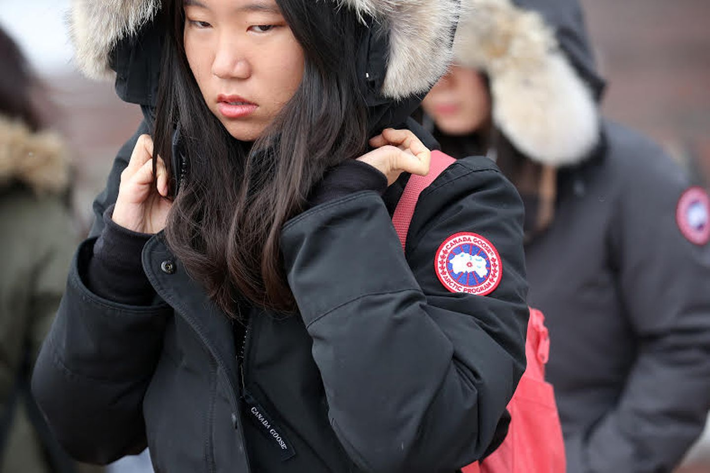 Canada Goose